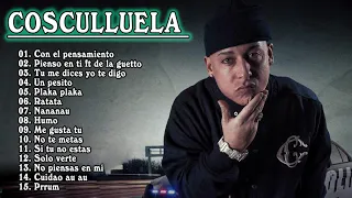 COSCULLUELA  Mix 2021 - COSCULLUELA  Sus Mejores Éxitos 2021