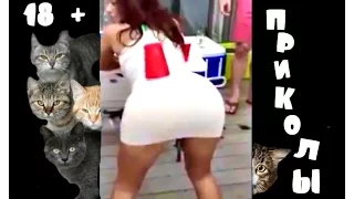 Приколы 2015 Приколы для взрослых 33 (18 +) Funny 2015 Jokes for adults (18 +) Fun Video