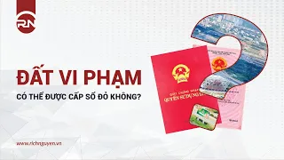 Đất Vi Phạm Có Thể Được Cấp Sổ Đỏ Không?