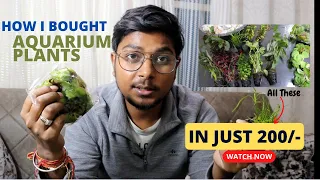 Buy Aquarium Plants Online in just 200/-(Hindi)| Get Cheap & Best Quality Aquarium Plants 2022