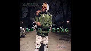 Am I Wrong Remix