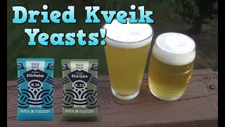 Norwegian Kveik Blonde Ale! (w/ Eitrheim & Stalljen)