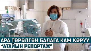 АРА ТӨРӨЛГӨН БАЛАГА КАМ КӨРҮҮ//АТАЙЫН РЕПОРТАЖ