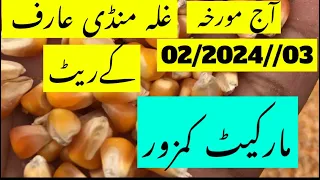 Maki rate|maize rate today|paddy rice rate|corn rate today|galla mandi rate today Punjab Pakistan