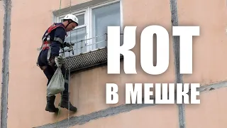 Кот в мешке 📹 TV29.RU (Северодвинск)