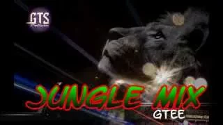 Nineties Old Skool Jungle Mix - 93, 94 & 95