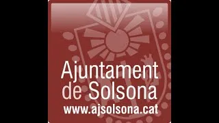 Ple telemàtic Ajuntament de Solsona 11 de juny de 2020