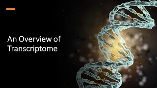 An Overview of Transcriptome