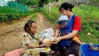 Single mother helps poor old lady | And goes to the mountains to cut potatoes to sell