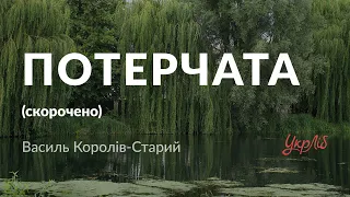 Василь Королів-Старий — Потерчата (аудіокнига скорочено)