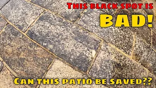 Probably The WORST BLACK SPOT I've Seen On An Indian Sandstone Patio EVER. Can I Remove it??