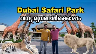 വന്യമൃഗങ്ങൾ പുറത്ത്😳ഇതാണ് മക്കളെ പാർക്ക് | Dubai Safari Park #dubai #malayalam #safaripark #animals