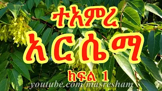 ተአምረ ቅድስት አርሴማ ክፍል 1 - Teamire Arsema part 1