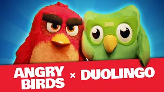 Angry Birds X Duolingo | The Team-Up!