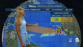 Tropical depression could form next week, National Hurricane Center says