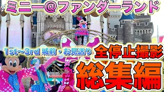 【4K高画質】これを見れば全部わかる⁉️ 全エリアで撮影‼️ ミニー@ファンダーランド　総集編　【ディズニーパルパルーザ　パレード】城前　DPAエリア付近　他