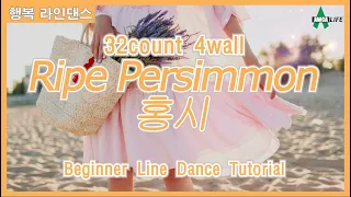 홍시 라인댄스 Line Dance ep72 Ripe Persimmon