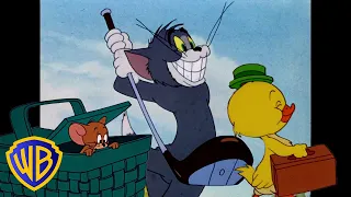Tom et Jerry en Français 🇫🇷 | Le printemps arrive ! 🌸🌳 | @WBKidsFrancais​