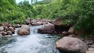 Amazing sounds of nature, Beautiful Birds Chirping, Relaxing Stream Flowing Over Stones
