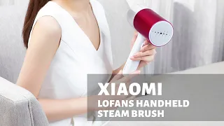Ручной отпариватель Xiaomi Lofans Handheld Steam Brush красный GT 302RW: характеристики и отзыв