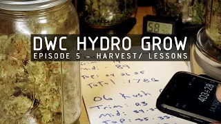 DWC Hydroponic Cannabis Grow Ep 5. Harvest & Cure