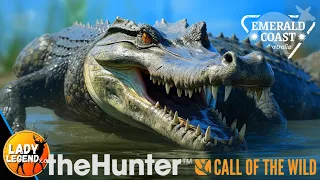 The SALTWATER CROC GRIND GUIDE for Emerald Coast!!! - Call of the Wild