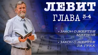 Книга Левит | Глава 3-4