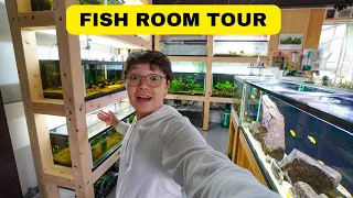 My Fish Room Tour 2024!!