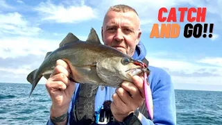 UK WRECK FISHING!! (uk sea fishing)