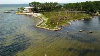 ‘Living shorelines’ use oyster shells and marsh grass to reverse coastal erosion