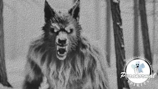 Werewolf Attacks: Survivors Describe the Beast. Hear What They Say.