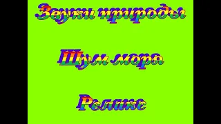 Звуки природы, пение птиц, шум моря, релакс/Sounds of nature, birdsong, sound of the sea, relaxation