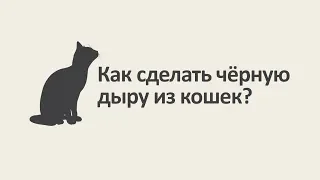 Как сделать чёрную дыру из кошек? [MinutePhysics]