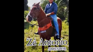 Zé Antônio Aboiador Sertão pedaço de ouro