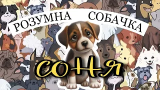 🎧«РОЗУМНА СОБАЧКА СОНЯ» аудіоказка на ніч