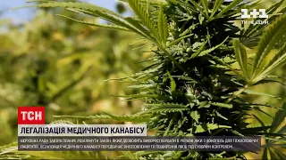 Новини України: депутати ВР розглянуть закон про легалізацію ліків з конопель
