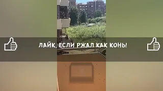 Лучшие приколы TikTok 😂🤣 Выпуск 236