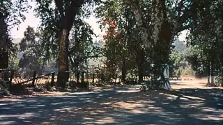 Pollyanna (1960) Opening