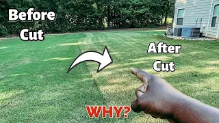 Why your Bermuda Grass turns brown after you cut it // Browning Lawn after mowing