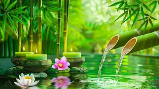 Relaxing Zen Music - Meditation Music, Peaceful Music, Bamboo,Relaxing Music,Nature Sounds, Spa, BGM