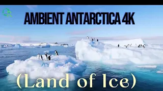Ambient Antarctica 4K _  relaxing slow nature film #antarctica  #ambience #oddrealities #nature