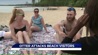 Aggressive river otter attacks visitors at Jamestown Beach Event Park
