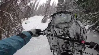 GoPro tree riding clips from chasing Chris Burandt