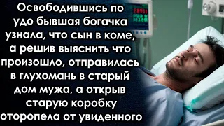 Освободившись, узнала что сын в коме, а решив выяснить что произошло, отправилась в старый дом мужа