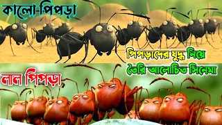 Minuscule Valley of the Lost Ants Movie Explained in Bangla।কালো পিপড়া VS লাল পিপড়াদের লড়াই।