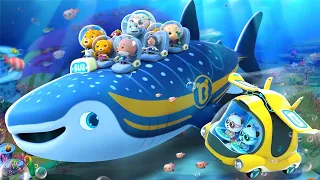 Sea World Adventure +More | Super Rescue Team Collection | Best Cartoon Collection