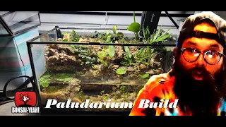 Mini Paludarium Build - Bonsai-YEAH!