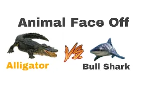 Animal Face Off Alligator vs Bull Shark