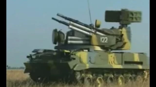 SA 19 Grison; 2K22 Tunguska