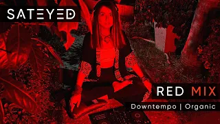 Red Mix by Sateyed | Organic house & Downtempo